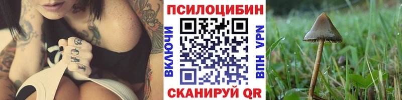 Псилоцибиновые грибы Psilocybine cubensis  MEGA как зайти  Кувшиново 